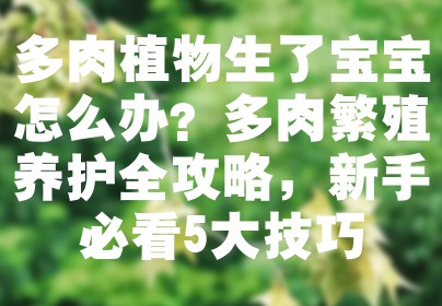 多肉植物生了宝宝怎么办？多肉繁殖养护全攻略，新手必看5大技巧