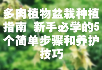 多肉植物盆栽种植指南 新手必学的5个简单步骤和养护技巧