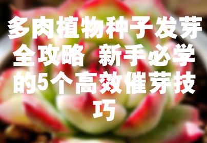 多肉植物种子发芽全攻略 新手必学的5个高效催芽技巧