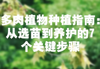 多肉植物种植指南：从选苗到养护的7个关键步骤