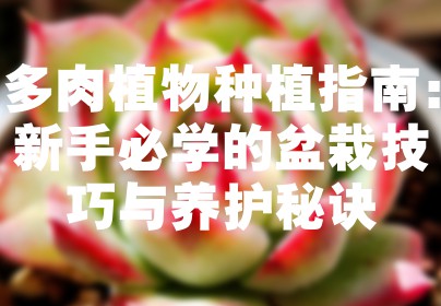 多肉植物种植指南：新手必学的盆栽技巧与养护秘诀