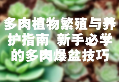 多肉植物繁殖与养护指南 新手必学的多肉爆盆技巧