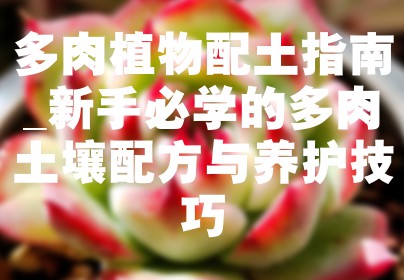 多肉植物配土指南_新手必学的多肉土壤配方与养护技巧