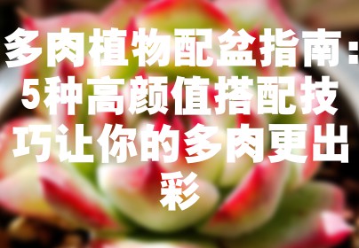 多肉植物配盆指南：5种高颜值搭配技巧让你的多肉更出彩