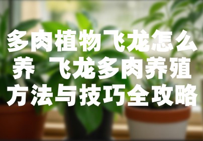 多肉植物飞龙怎么养 飞龙多肉养殖方法与技巧全攻略