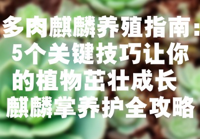 多肉麒麟养殖指南：5个关键技巧让你的植物茁壮成长 麒麟掌养护全攻略