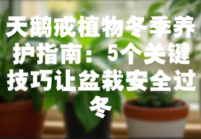 天鹅戒植物冬季养护指南：5个关键技巧让盆栽安全过冬