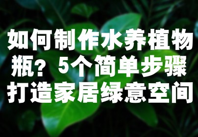 如何制作水养植物瓶？5个简单步骤打造家居绿意空间
