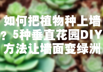 如何把植物种上墙？5种垂直花园DIY方法让墙面变绿洲