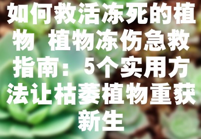 如何救活冻死的植物 植物冻伤急救指南：5个实用方法让枯萎植物重获新生