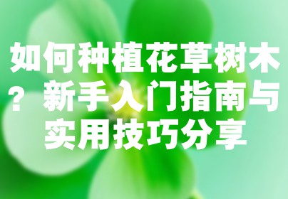 如何种植花草树木？新手入门指南与实用技巧分享