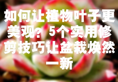 如何让植物叶子更美观？5个实用修剪技巧让盆栽焕然一新