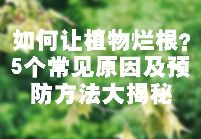 如何让植物烂根？5个常见原因及预防方法大揭秘