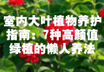室内大叶植物养护指南：7种高颜值绿植的懒人养法