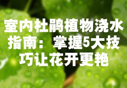 室内杜鹃植物浇水指南：掌握5大技巧让花开更艳