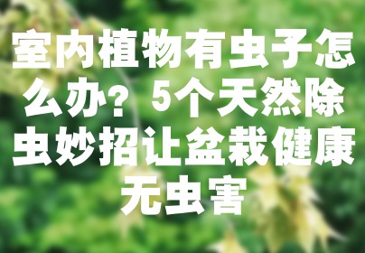 室内植物有虫子怎么办？5个天然除虫妙招让盆栽健康无虫害