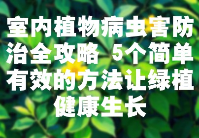 室内植物病虫害防治全攻略 5个简单有效的方法让绿植健康生长