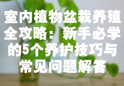 室内植物盆栽养殖全攻略：新手必学的5个养护技巧与常见问题解答