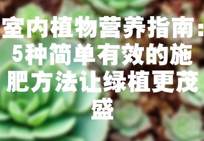 室内植物营养指南：5种简单有效的施肥方法让绿植更茂盛