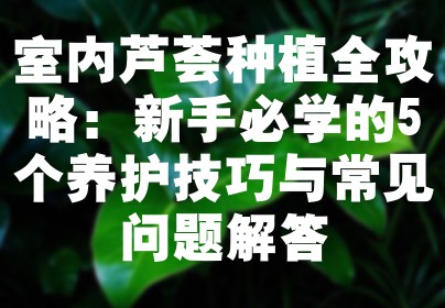 室内芦荟种植全攻略：新手必学的5个养护技巧与常见问题解答