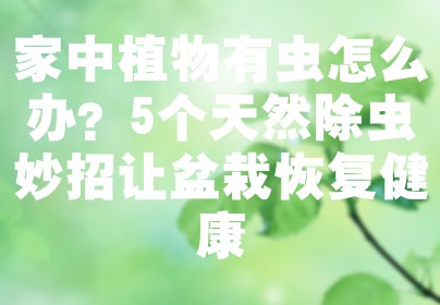 家中植物有虫怎么办？5个天然除虫妙招让盆栽恢复健康