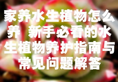 家养水生植物怎么养 新手必看的水生植物养护指南与常见问题解答