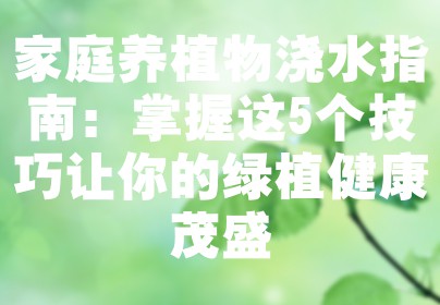 家庭养植物浇水指南：掌握这5个技巧让你的绿植健康茂盛
