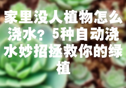 家里没人植物怎么浇水？5种自动浇水妙招拯救你的绿植