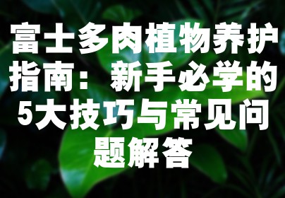 富士多肉植物养护指南：新手必学的5大技巧与常见问题解答