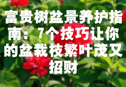富贵树盆景养护指南：7个技巧让你的盆栽枝繁叶茂又招财
