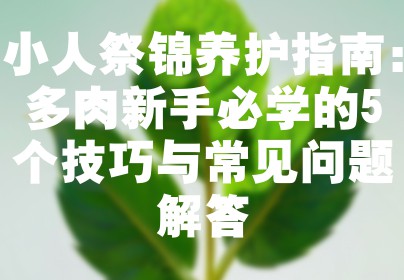 小人祭锦养护指南：多肉新手必学的5个技巧与常见问题解答