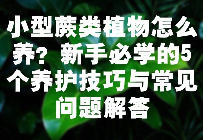 小型蕨类植物怎么养？新手必学的5个养护技巧与常见问题解答