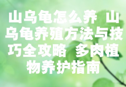 山乌龟怎么养 山乌龟养殖方法与技巧全攻略 多肉植物养护指南
