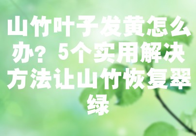 山竹叶子发黄怎么办？5个实用解决方法让山竹恢复翠绿