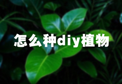 怎么种diy植物