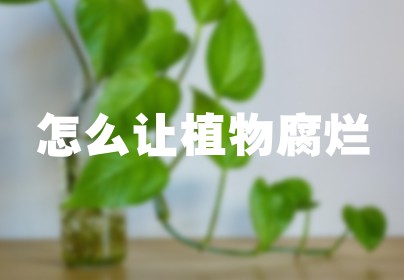 怎么让植物腐烂