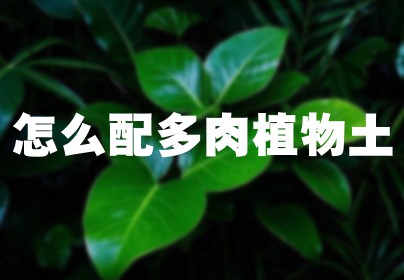 怎么配多肉植物土