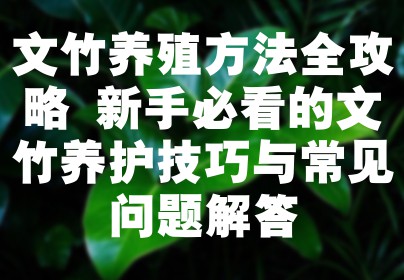 文竹养殖方法全攻略 新手必看的文竹养护技巧与常见问题解答