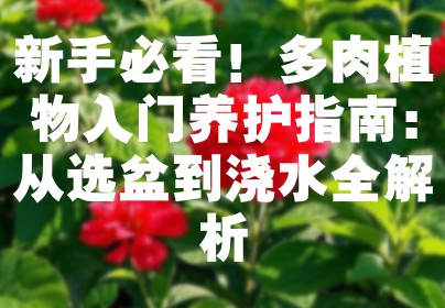 新手必看！多肉植物入门养护指南：从选盆到浇水全解析