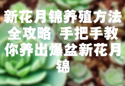 新花月锦养殖方法全攻略 手把手教你养出爆盆新花月锦