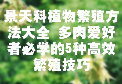 景天科植物繁殖方法大全 多肉爱好者必学的5种高效繁殖技巧