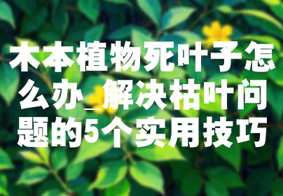 木本植物死叶子怎么办_解决枯叶问题的5个实用技巧