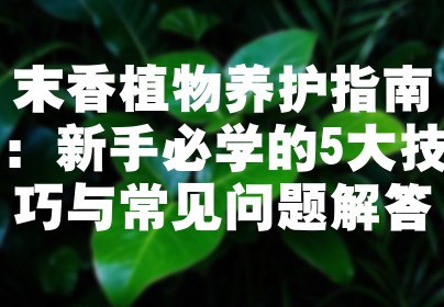 末香植物养护指南：新手必学的5大技巧与常见问题解答