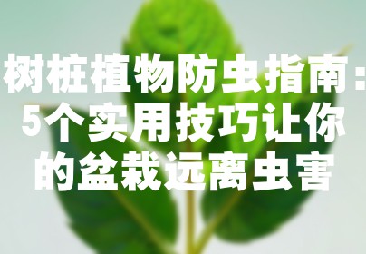 树桩植物防虫指南：5个实用技巧让你的盆栽远离虫害