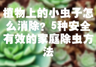 植物上的小虫子怎么消除？5种安全有效的家庭除虫方法