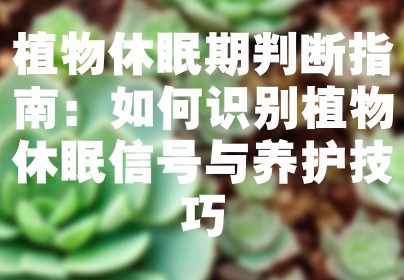 植物休眠期判断指南：如何识别植物休眠信号与养护技巧