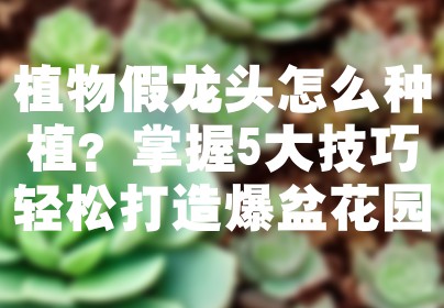 植物假龙头怎么种植？掌握5大技巧轻松打造爆盆花园
