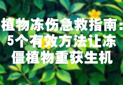 植物冻伤急救指南：5个有效方法让冻僵植物重获生机