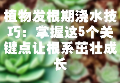 植物发根期浇水技巧：掌握这5个关键点让根系茁壮成长