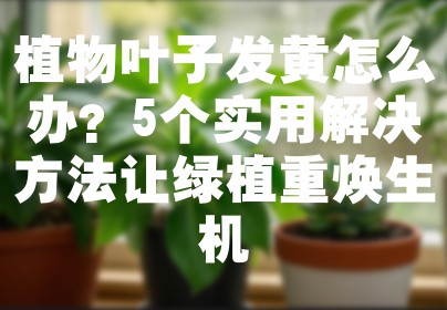 植物叶子发黄怎么办？5个实用解决方法让绿植重焕生机